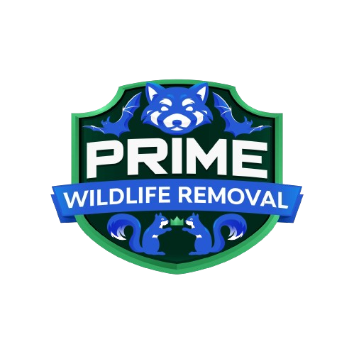 Michigan Wildlife Removal